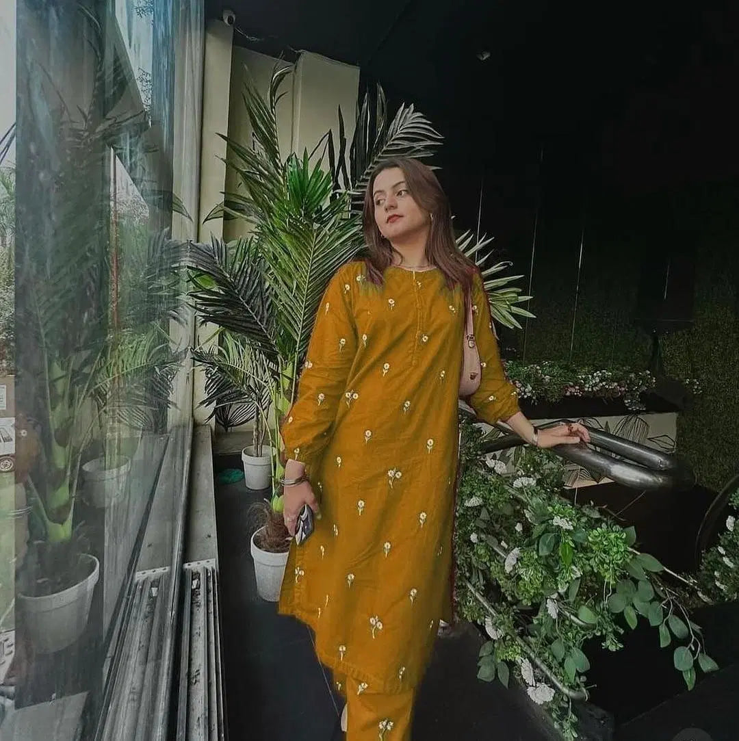 2 Pcs Women's Stitched Embroidered Shirt And Trouser